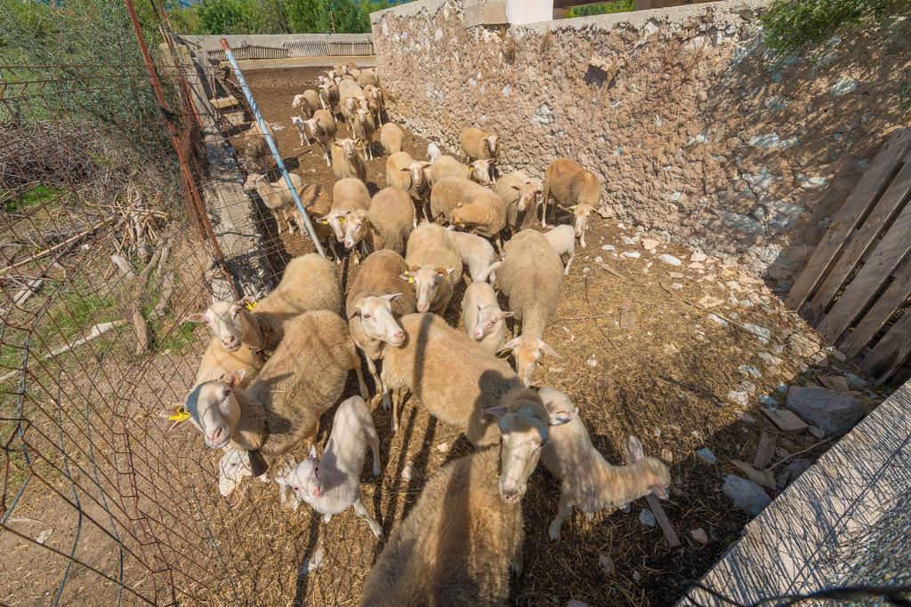 Granja Villa Inca  Dış mekan fotoğraf
